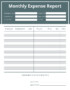 How To Use An Expense Report Template
