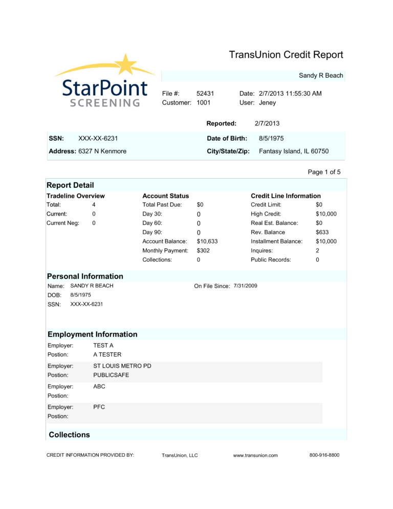 Understanding Credit Report Template | Templatesz234.com ...