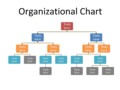 Organizational Chart Template Word