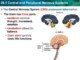 Parts And Functions Of Central Nervous System