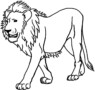 Creating Outlines Of Lions