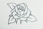 Learn To Create A Rose Drawing Easy