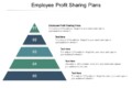 Understanding Profit Sharing Plan