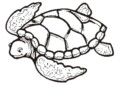 The Outlines Of Turtles – A Definitive Guide For 2023