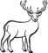 Everything You Need To Know About Deer Outlines