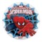 Spruce Up Your Celebration With A Spiderman Cake Topper