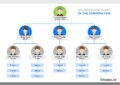 Organizational Chart Templates – Get Free Samples Now!