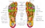 Printable Foot Reflexology Charts – An Easy Way To Relax