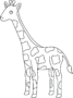 Giraffe Outline – How To Easily Create A Beautiful Giraffe Outline Drawing