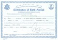 Everything You Need To Know About Birth Certificate Sample
