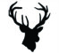 Deer Head Outline: Learn How To Create A Stunning Silhouette
