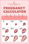 Pregnancy Calendar Template: A Comprehensive Guide For Expectant Mothers