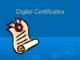 Exploring The World Of Digital Certificates