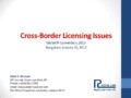 Cross Border License Agreement