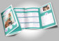 Brochure Templates For Pet Grooming Services