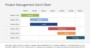 Gantt Chart Examples For Project Management