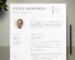 Stationery Templates For Resumes And Cvs