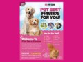 Brochure Templates For Pet Services